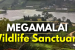 Megamalai Wildlife Sanctuary Records Nine New Species