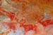 Ancient Petroglyphs Discovered in Telangana Rock Shelter