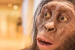 Neanderthal ‘Factory’ Discovery Rewrites Human Evolution