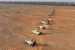 Exercise Amogh Jwala Showcases Indian Army Combat Readiness