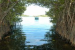 Hypercapnic Hypoxia Threatens Mangrove Ecosystems Globally