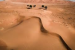 Tiny 1 cm Fossil Discovery in Gobi Desert Stuns Scientists