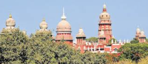 Prosopis Juliflora Eradication Ordered by Madras High Court