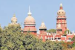 Prosopis Juliflora Eradication Ordered by Madras High Court