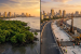 Mangroves in Focus After Supreme Court Coastal Road Decision