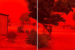 Red Skies in Australia as Cyclone Narelle Triggers Dust Storm