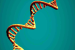 Extracellular RNA Persists in Disinfected Drinking Water