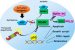 TP53 Mutation Found in Acute Lymphoblastic Leukaemia Patients