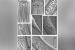 New Marine Nematode Species Discovered off Tamil Nadu Coast