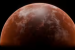 Scientists Find Cells Survive Simulated Mars Conditions