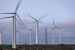 Andhra Pradesh Pushes Clean Energy Vision at Global Forum