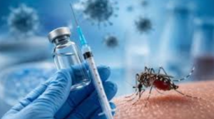 Oxford and Serum Partner for New Malaria Vaccine