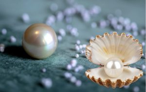 Hazaribag Becomes India’s First Pearl Farming Cluster