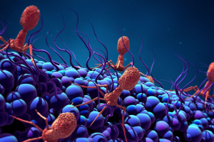 Scientists Discover Virus That Kills Drug-Resistant Bacteria