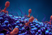 Scientists Discover Virus That Kills Drug-Resistant Bacteria