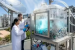 Plastic Waste Converted into Hydrogen Fuel Using Sunlight