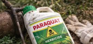 Paraquat Ban Advances in US States