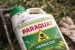 Paraquat Ban Advances in US States