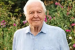 David Attenborough Turns 100