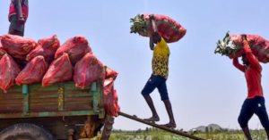 India Fully Operationalises Four New Labour Codes