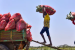India Fully Operationalises Four New Labour Codes