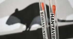 India Activates 165-Lab Hantavirus Surveillance Network