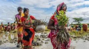 VB-GRAMG Act to Replace MGNREGA from July 1