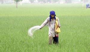 Union Cabinet Approves Higher MSP for 14 Kharif Crops