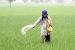 Union Cabinet Approves Higher MSP for 14 Kharif Crops