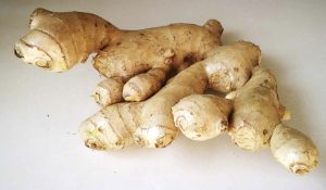 Mizoram Ginger Mission Launched With Rs 189 Crore Outlay
