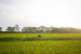 Karnataka Drafts Gram Panchayat Climate Action Plans