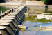 Thirteen Major Reservoirs in India Fall Below 50% Storage