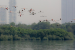 Maharashtra Completes Documentation of 23,404 Wetlands