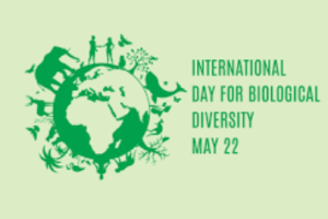 International Day for Biological Diversity 2026