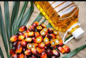 Oil Palm Productivity and India’s Edible Oil Future