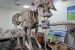 India’s First Private Medical Museum Opens in Thiruvananthapuram