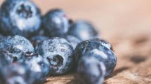 Rare Blueberry Species Rediscovered in Arunachal Pradesh