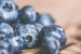 Rare Blueberry Species Rediscovered in Arunachal Pradesh