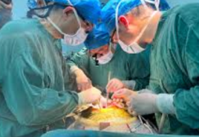 China Performs First Pig Liver and Kidney Transplant