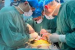 China Performs First Pig Liver and Kidney Transplant
