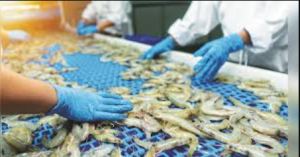 India’s Seafood Exports Touch Record $8.46 Billion