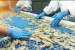 India’s Seafood Exports Touch Record $8.46 Billion