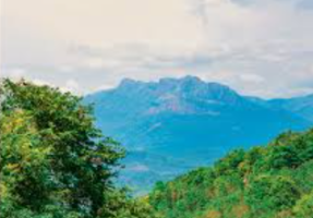 Supreme Court Orders Clean-up of Agasthyamalai Landscape