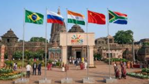 BRICS Disaster Risk Reduction Meeting Begins in Puri