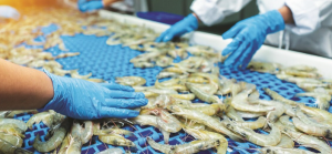 India Sets $30 Billion Seafood Export Target by 2031