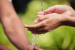 Chhattisgarh’s M-CAD Irrigation Model Gets Central Recognition
