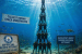 Andaman Islands Set Guinness Record for Underwater Human Tower