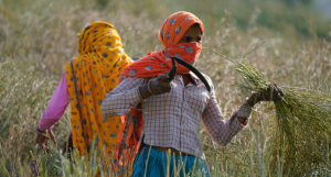 Maharashtra to Introduce Women Farmers Empowerment Bill
