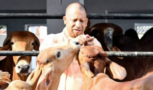 UP Supplies Indigenous Cow-Milk Products to Indian Army