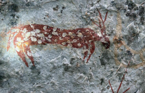 ASI Finds Ancient Inscriptions in Nallamala Tiger Reserve